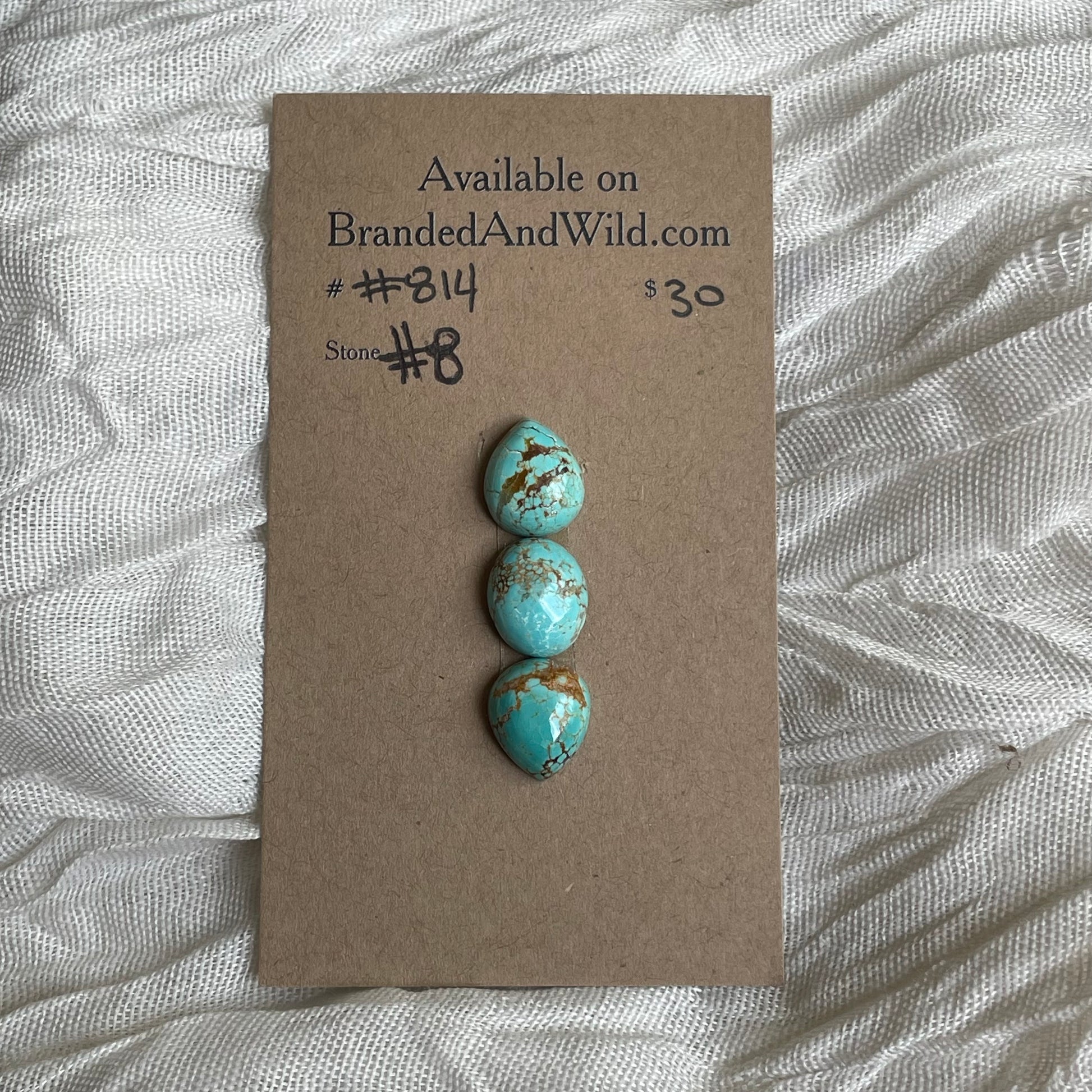 #8 Turquoise Cabochon - #814 3E7EAA05-34EB-434A-BB03-CEAC66A38ECA Brandedandwild.com