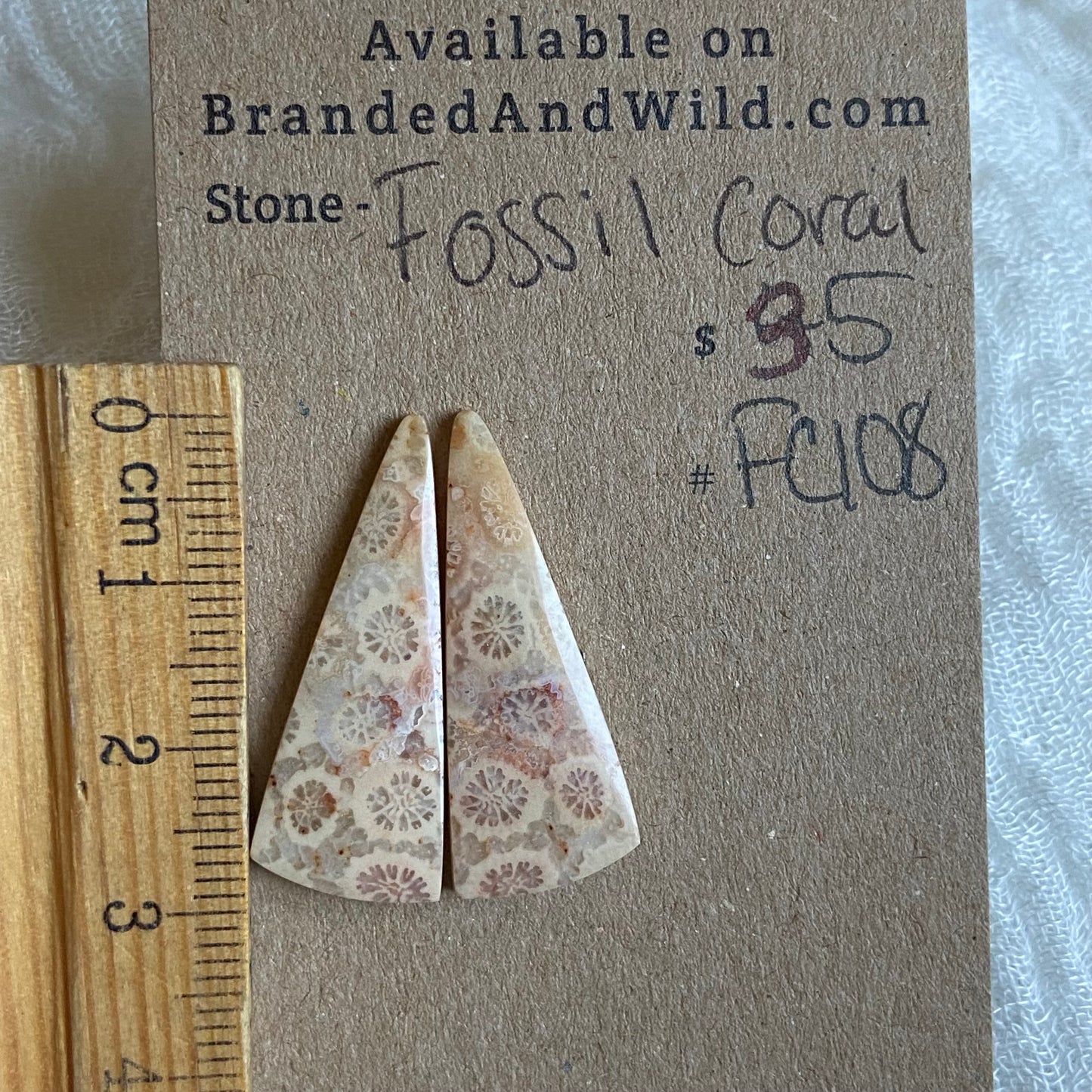Fossil Coral Cabochon - FC108