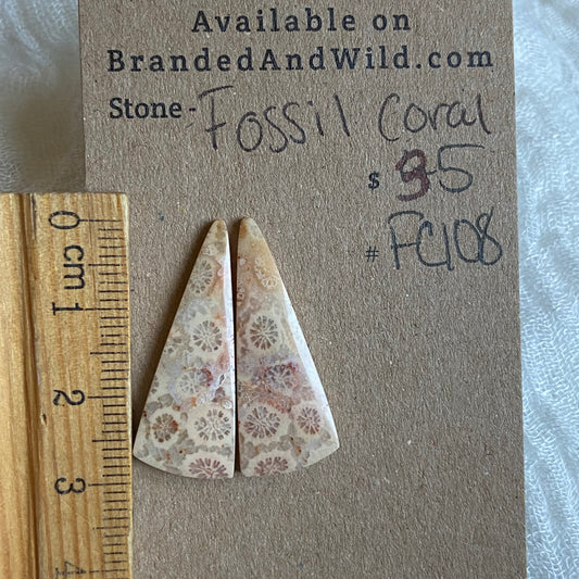 Fossil Coral Cabochon - FC108 3EA1B8F4-21EB-412E-9FF2-089251836243 Brandedandwild.com