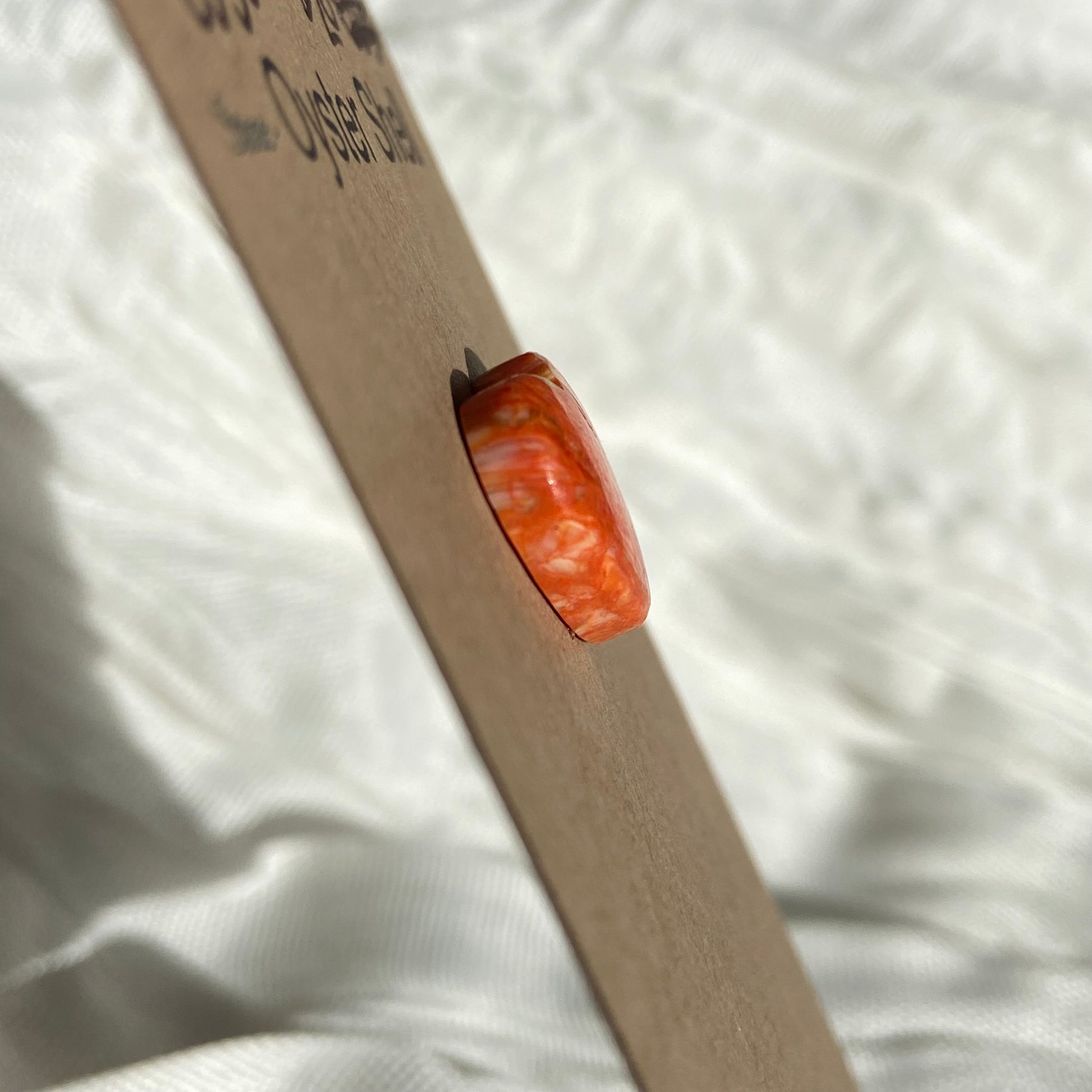 Oystershell Cabochon - OS30 3EB33F20-4C08-4DBD-AA26-C121699818D5 Brandedandwild.com