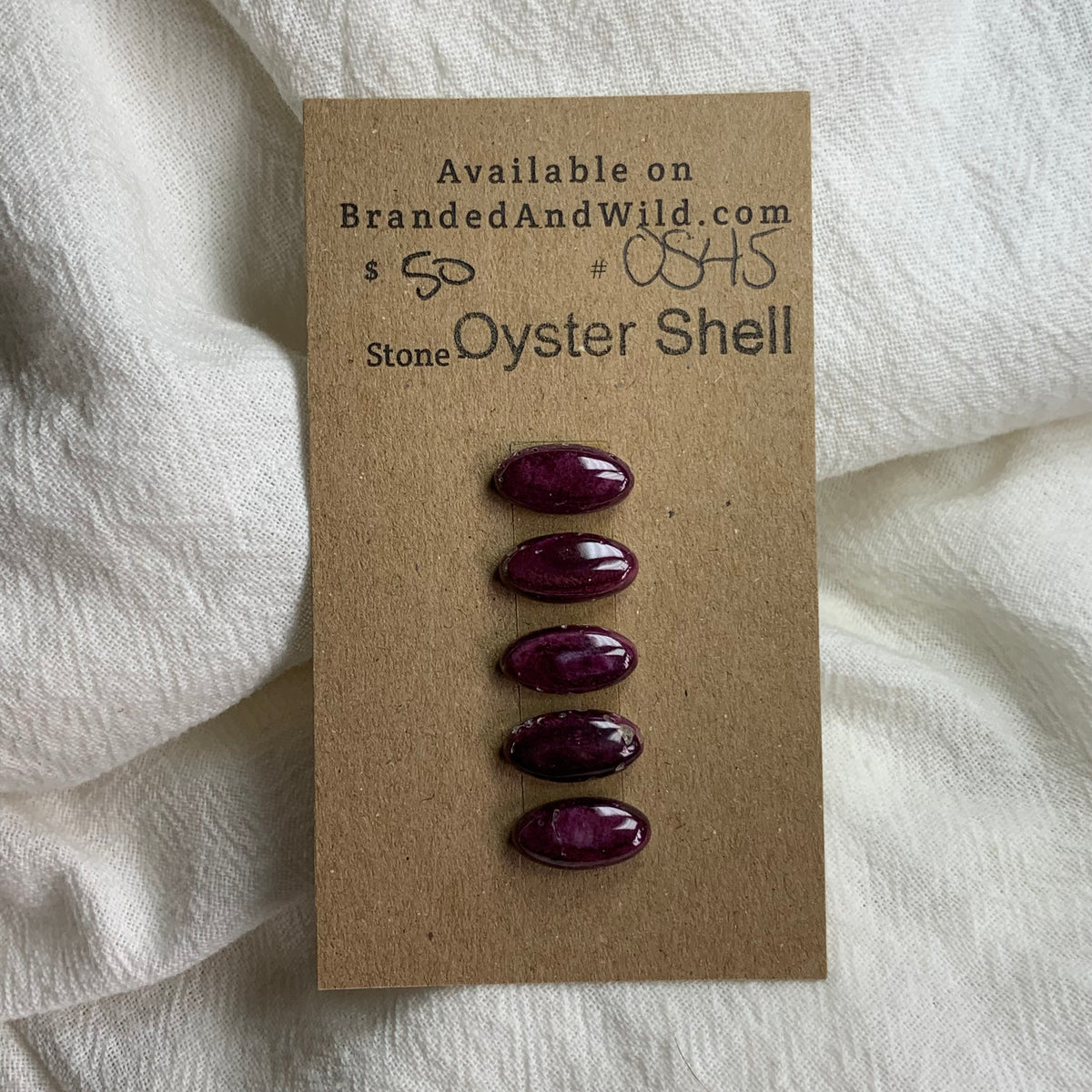 Oyster Shell Cabochon - OS45 3EB4C1D5-1A0A-4057-95C9-4E60778FE8E9 Brandedandwild.com