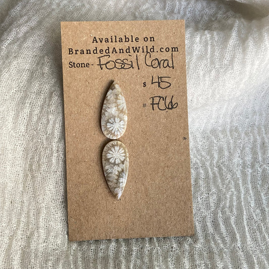 Fossil Coral Cabochon - FC66