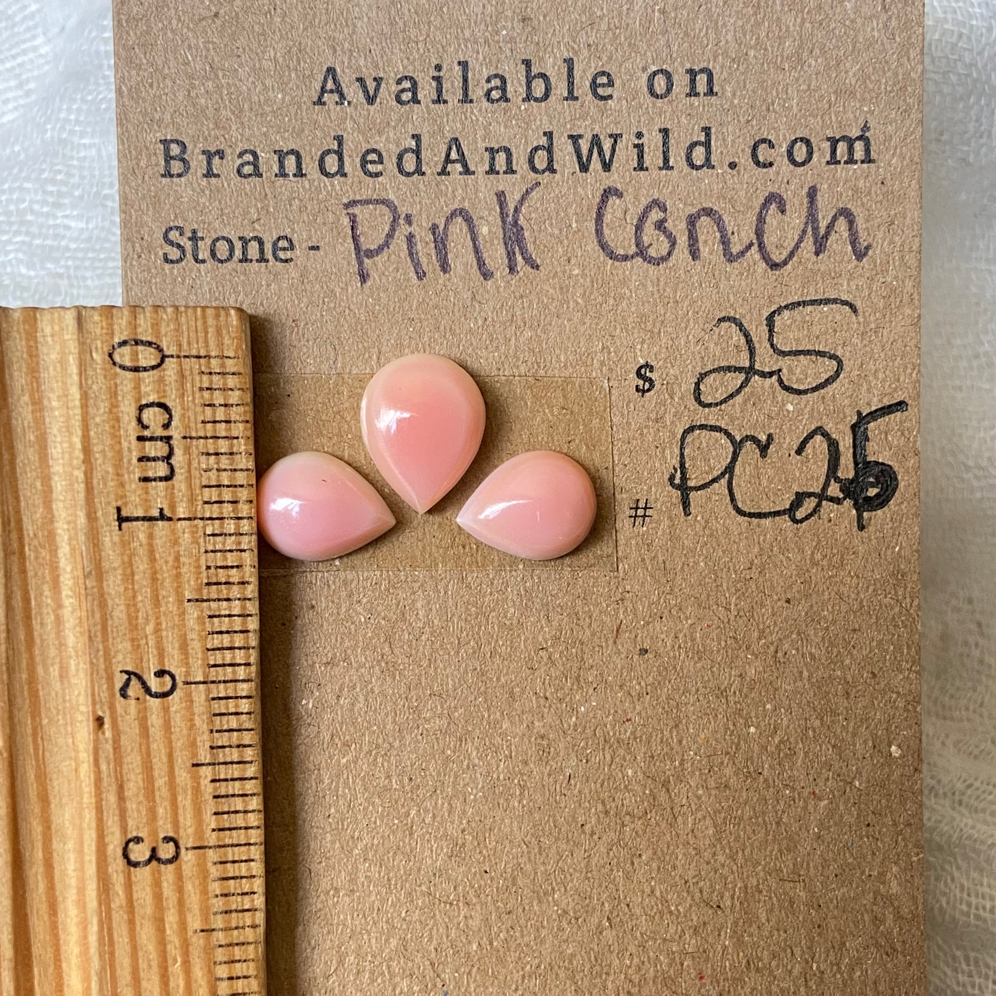 Pink Conch Cabochon - PC25 3EE531D4-C903-4ADE-B0B4-5CE1EA91CC17 Brandedandwild.com
