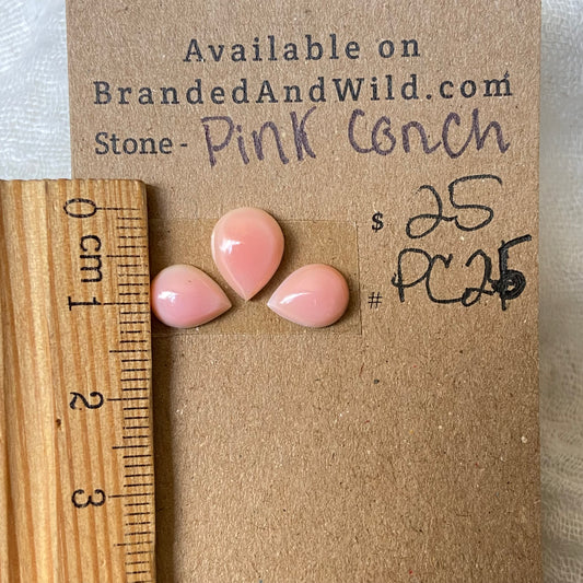 Pink Conch Cabochon - PC25 3EE531D4-C903-4ADE-B0B4-5CE1EA91CC17 Brandedandwild.com