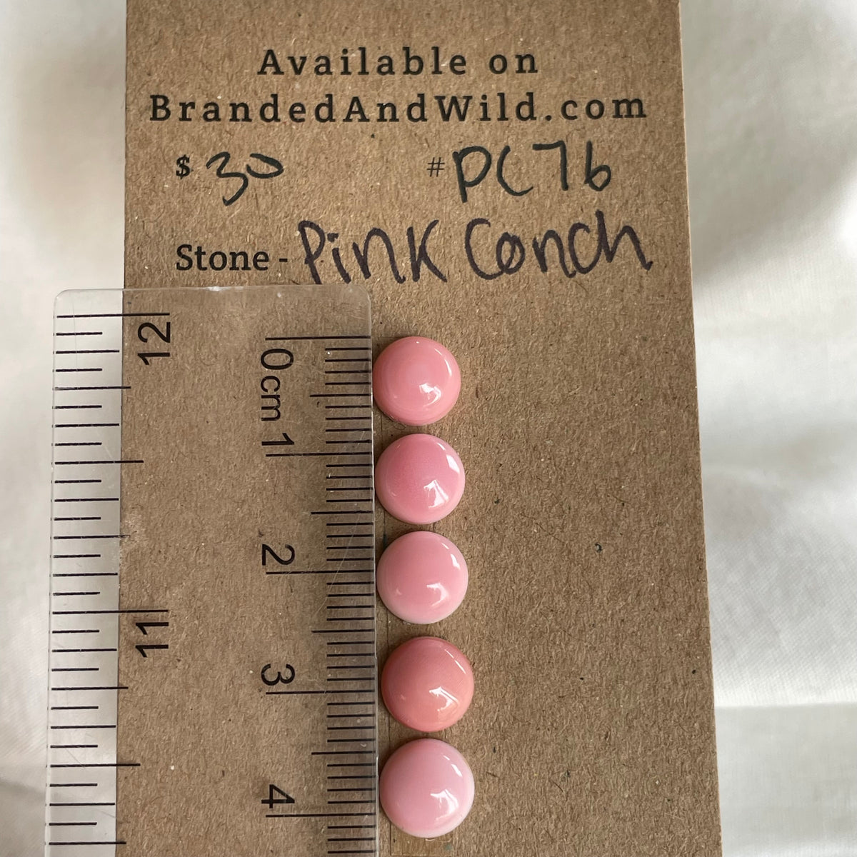 Pink Conch Cabochon - PC76 3EEF3840-3346-4F7E-B140-E33F4F9FB9F7 Brandedandwild.com