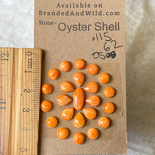 Oystershell Cabochon - OS62 3EFA564C-7422-4AF9-B667-5C5E4FEF706F Brandedandwild.com