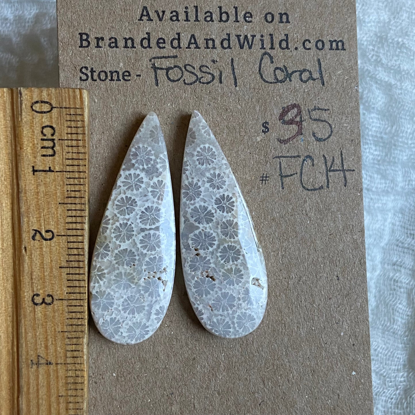 Fossil Coral Cabochon - FC14