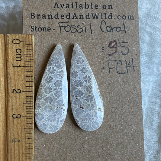 Fossil Coral Cabochon - FC14 3F03E7A6-8378-496C-A87B-55C0797071A1 Brandedandwild.com