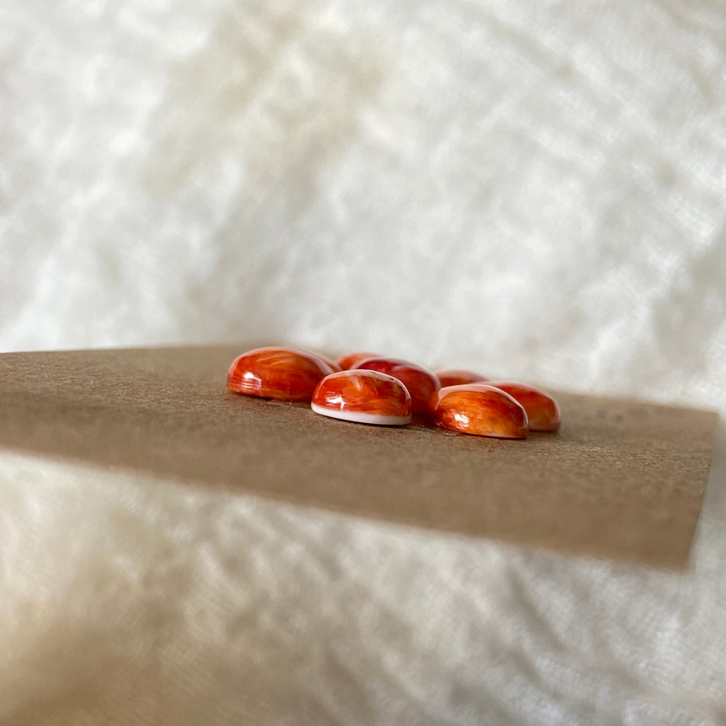 Oystershell Cabochon - OS03 3F13505E-660C-46E4-B2B7-651C64248952 Brandedandwild.com