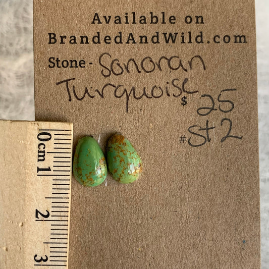 Sonoran Turquoise Cabochon - ST2