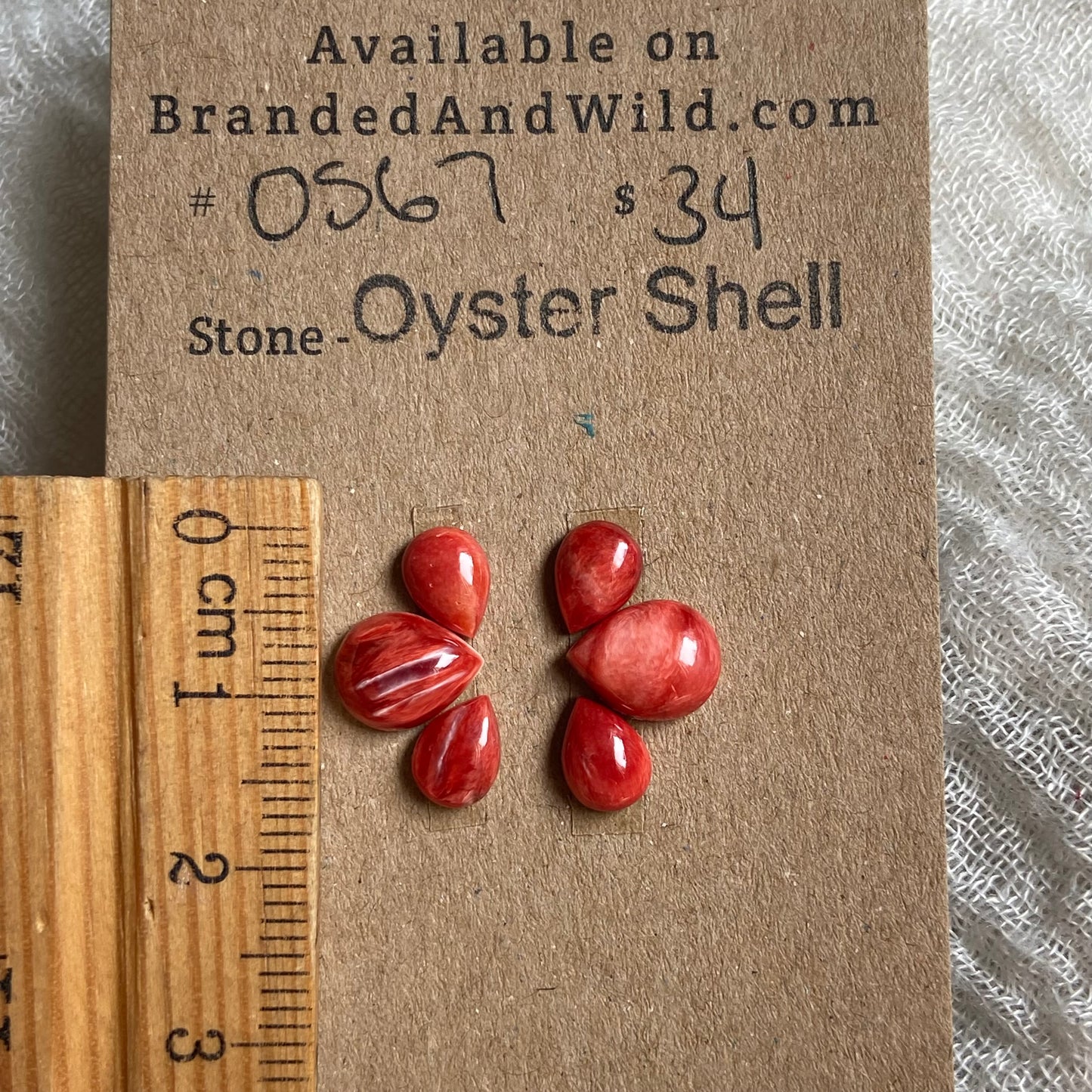 Oyster Shell Cabochon - OS67