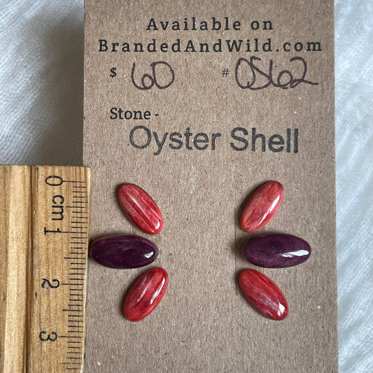 Oyster Shell Cabochon - OS62 3F8066CA-5798-4B84-9E72-F087C9337FCF Brandedandwild.com