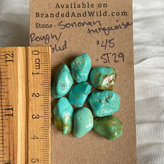 Sonoran Turquoise Rough Tumbled Cabochon - ST29 3FDC4631-0DF5-4A41-90CC-FF930B429E45 Brandedandwild.com