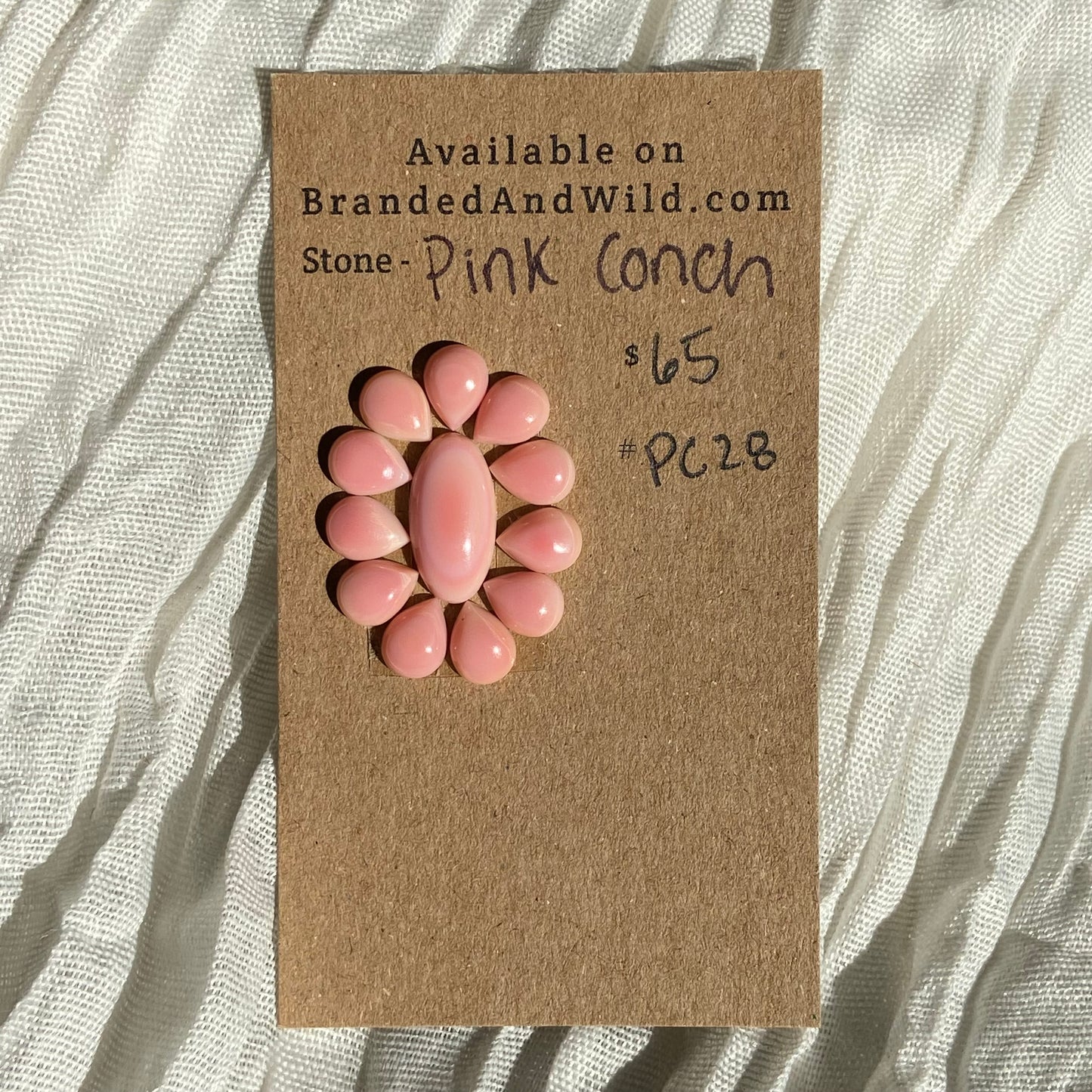 Pink Conch Cabochon - PC28 400D5DEB-4A2E-41F1-9111-6834F463F59B Brandedandwild.com