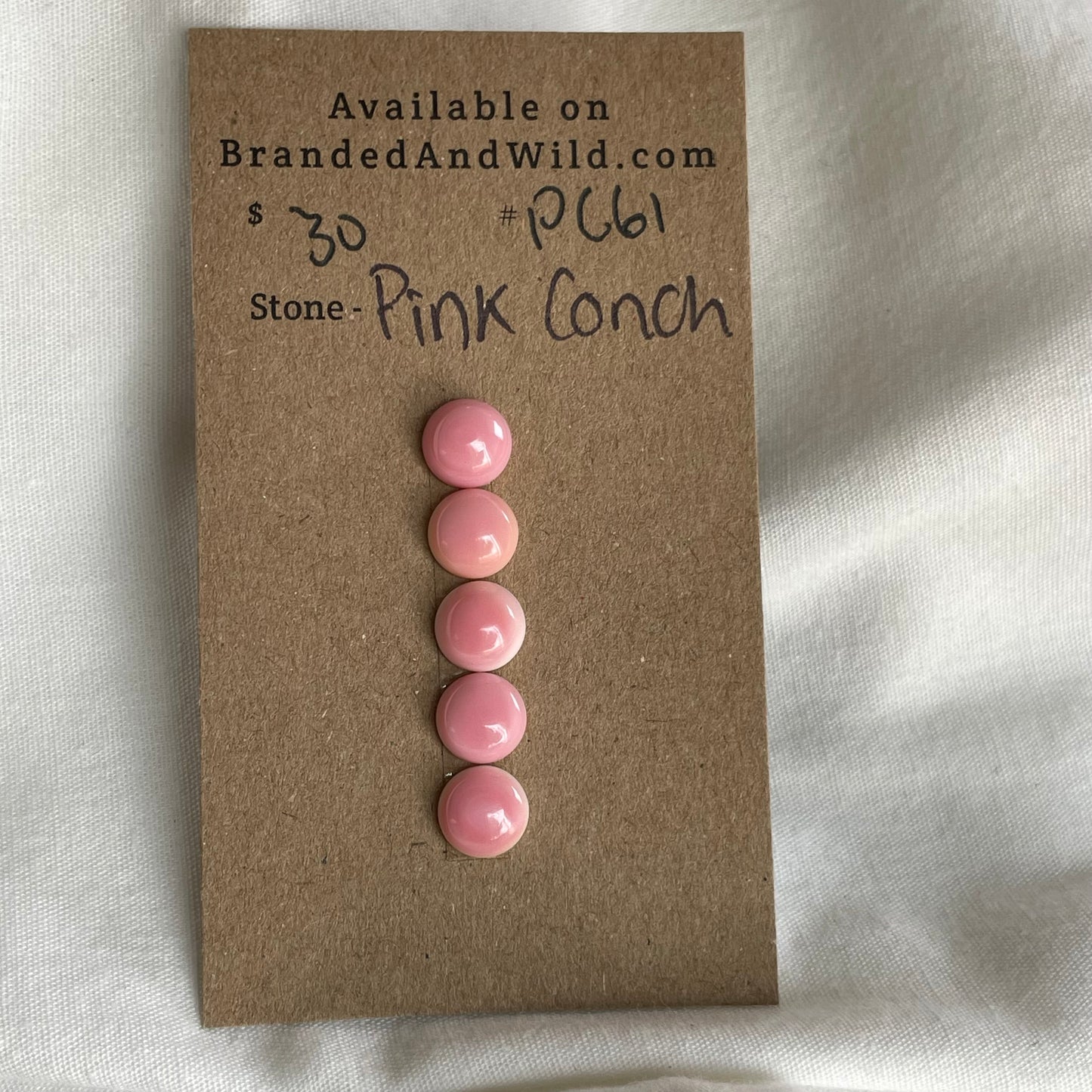 Pink Conch Cabochon - PC61