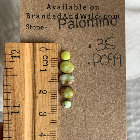 Palomino Cabochon - P099