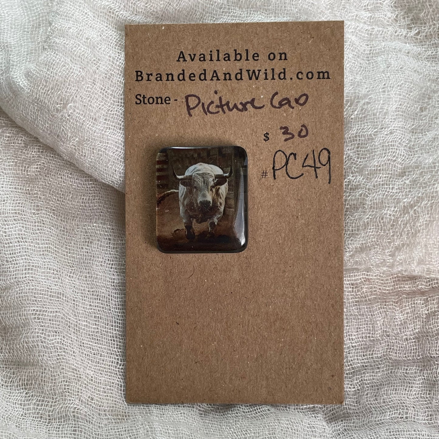 Picture Cabochon - Cabochon - PC49 4023CDFF-7D0F-41E0-AF2C-6989C512343A Brandedandwild.com