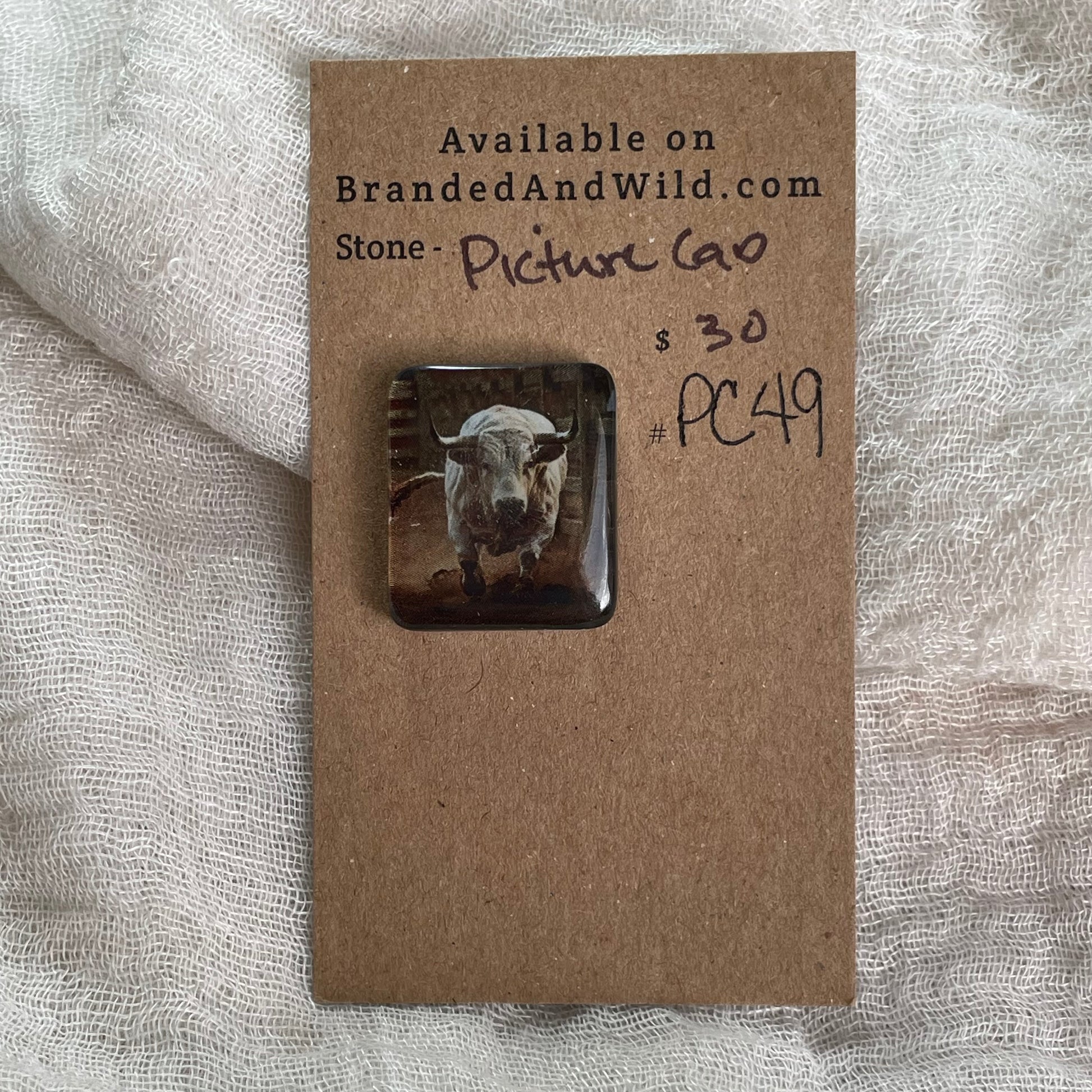 Picture Cabochon - Cabochon - PC49 4023CDFF-7D0F-41E0-AF2C-6989C512343A Brandedandwild.com