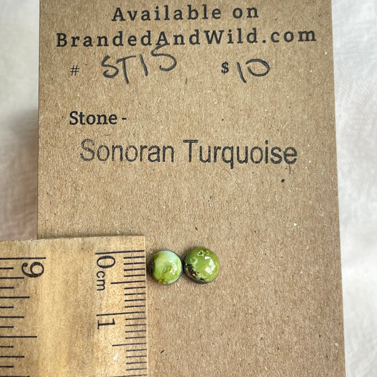 Sonoran Turquoise Cabochon - ST15 403933E2-F351-4297-9FB6-01720F6C8F08 Brandedandwild.com