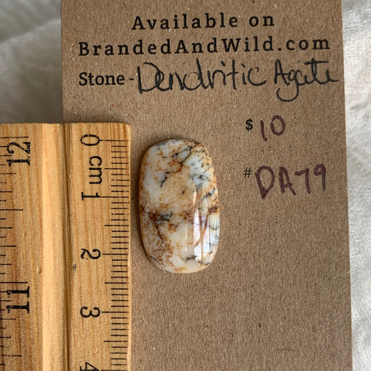 Dendritic Agate Cabochon - DA79