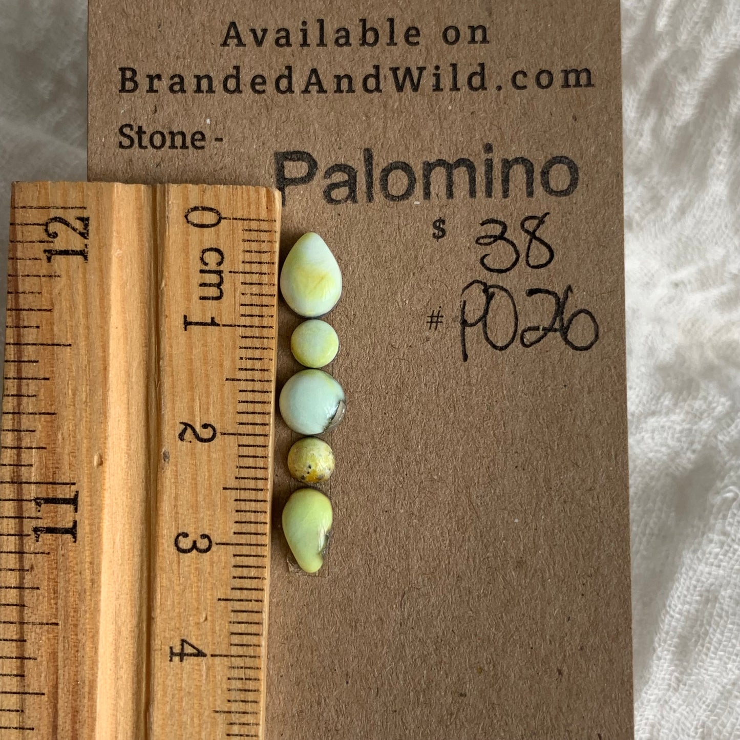 Palomino Cabochon - P026