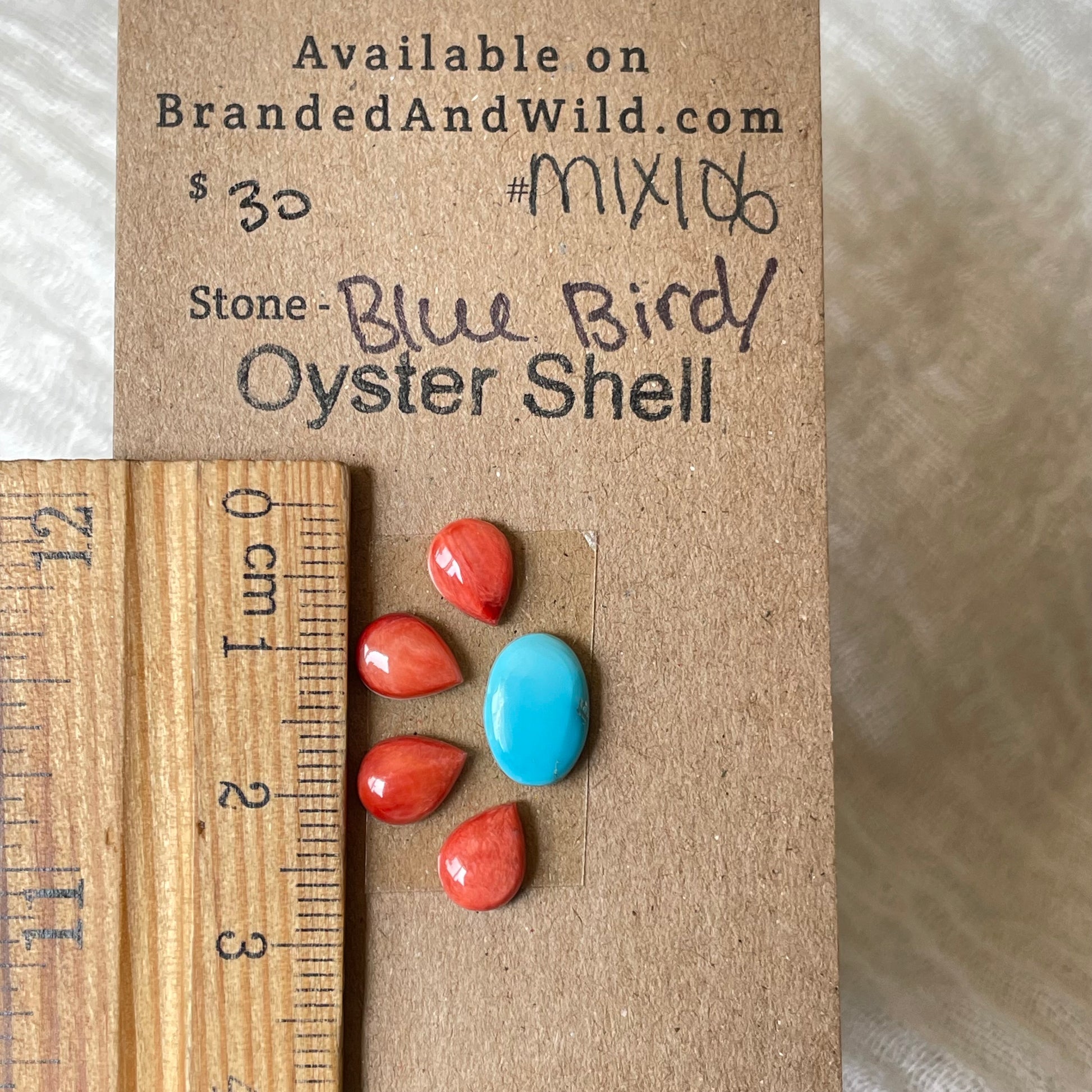 Oyster Shell / Blue Bird Cabochon - Mix106 406FC0AF-37D5-40B1-9508-D6A8CA5BE69C Brandedandwild.com