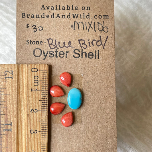 Oyster Shell / Blue Bird Cabochon - Mix106 406FC0AF-37D5-40B1-9508-D6A8CA5BE69C Brandedandwild.com