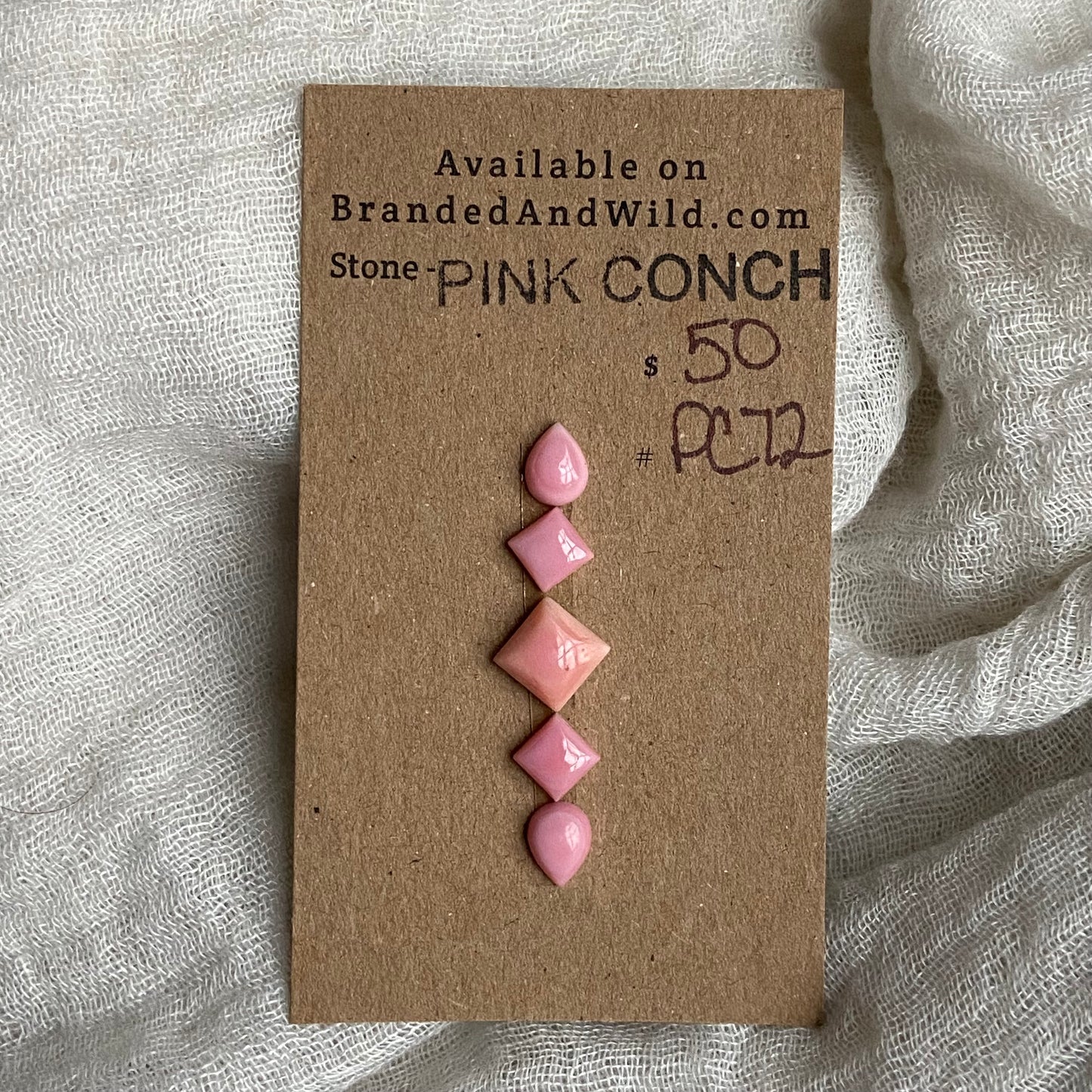 Pink Conch Cabochon - PC72