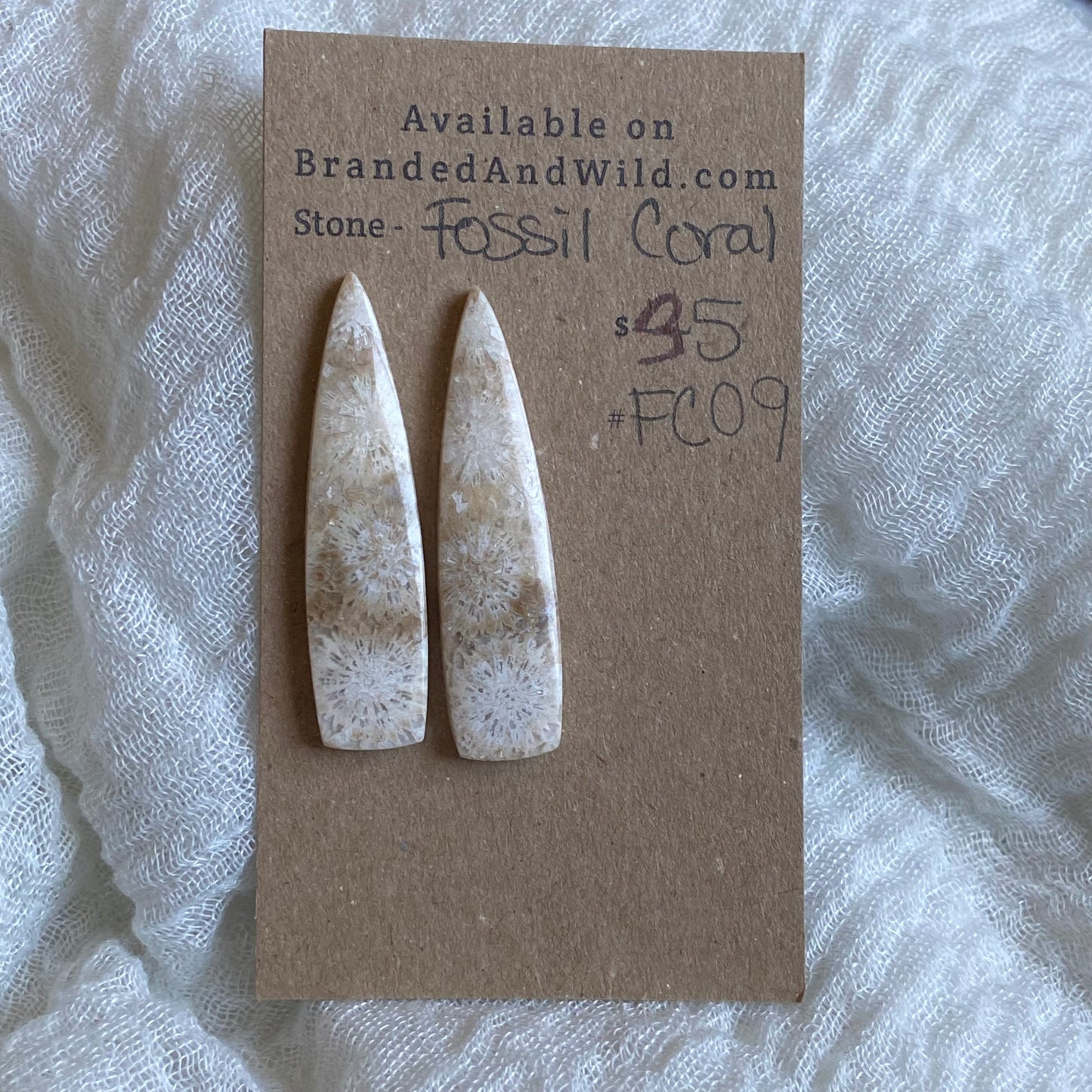 Fossil Coral Cabochon - FC09
