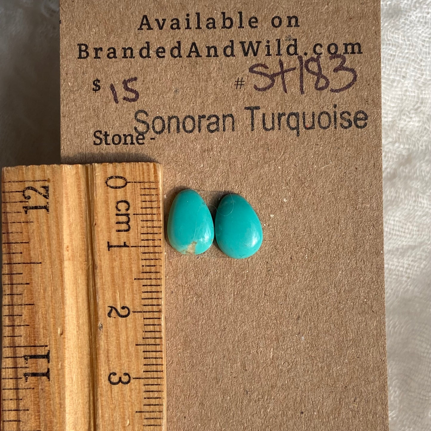 Sonoran Turquoise Cabochon - ST183