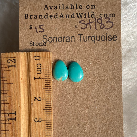 Sonoran Turquoise Cabochon - ST183