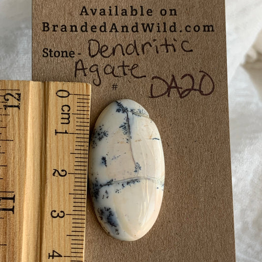 Dendritic Agate Cabochon - DA20