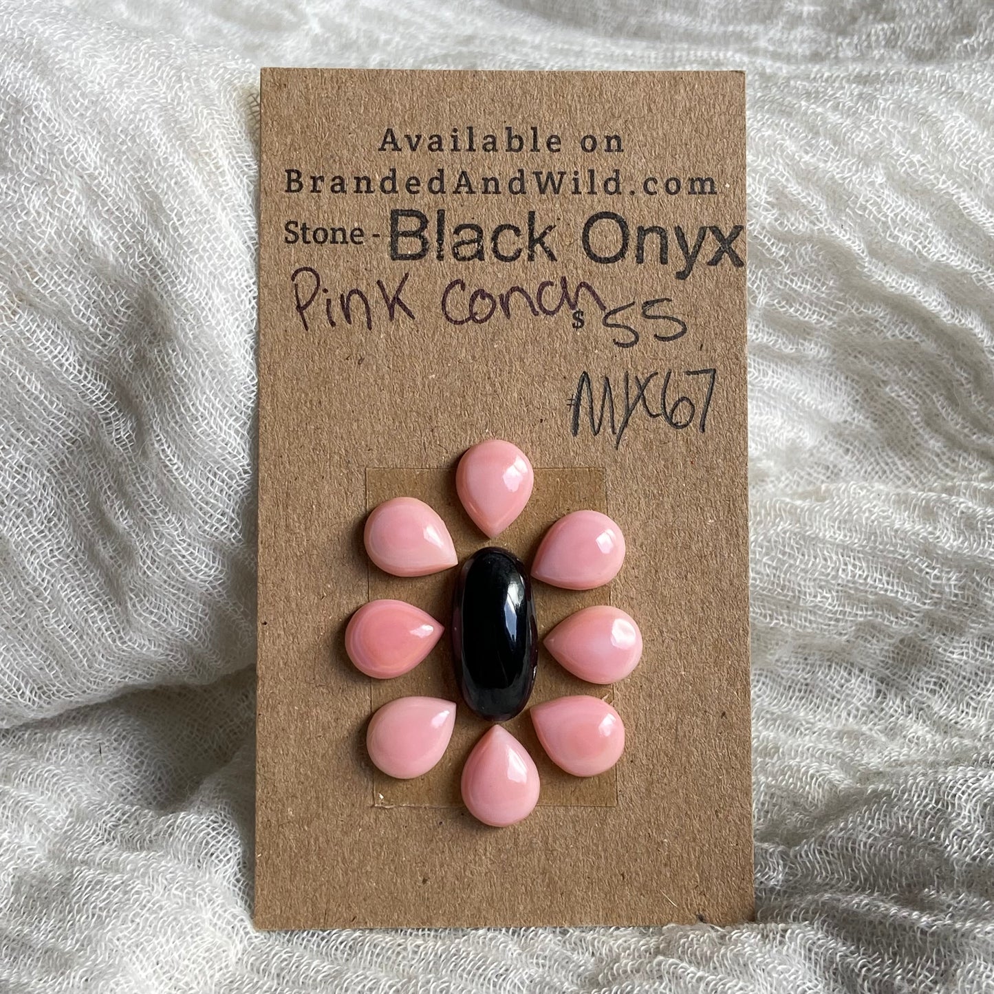 Black Conch / Pink Conch Cabochon - Mix67 41580A3F-B318-49D3-ADB3-67861E848A6A Brandedandwild.com