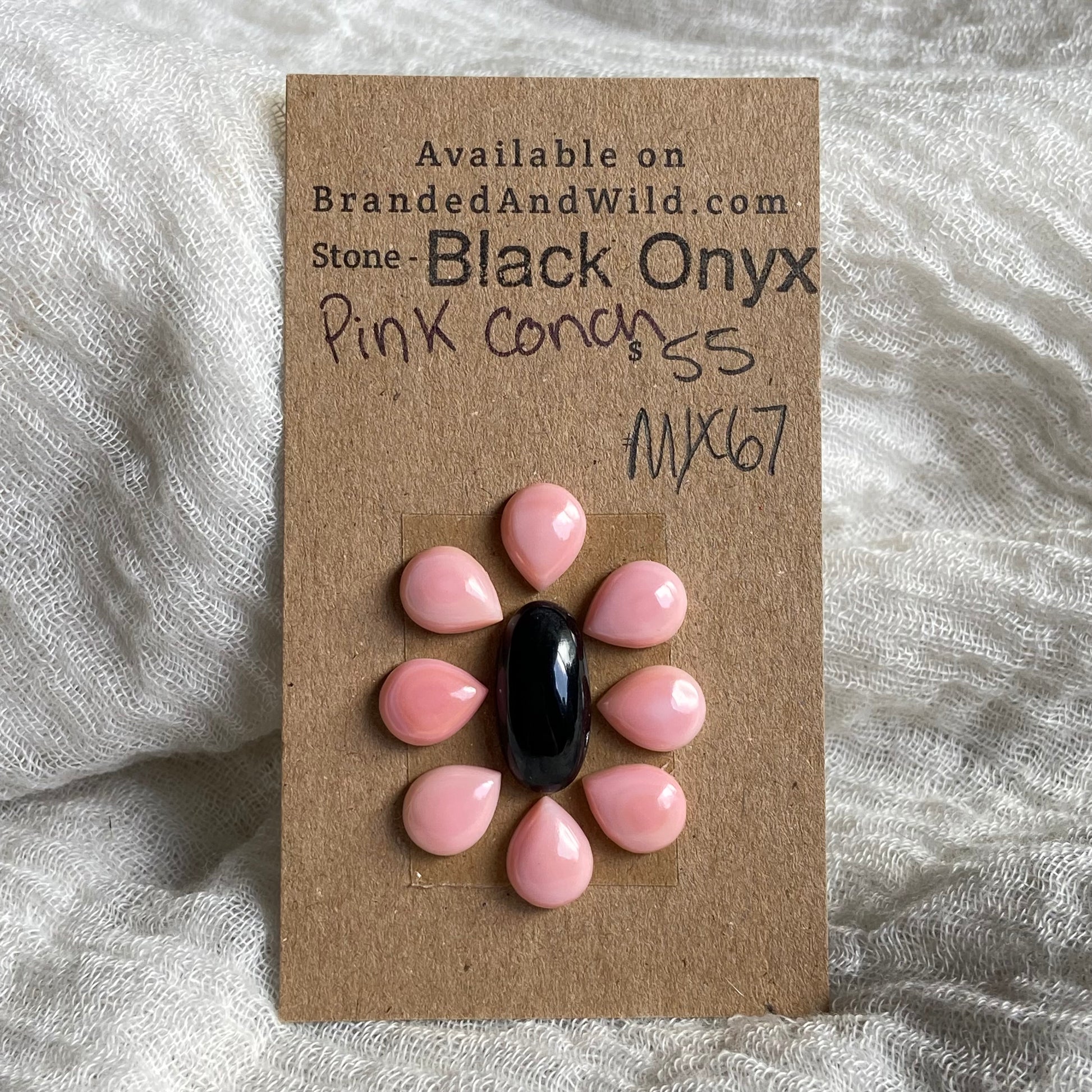 Black Conch / Pink Conch Cabochon - Mix67 41580A3F-B318-49D3-ADB3-67861E848A6A Brandedandwild.com