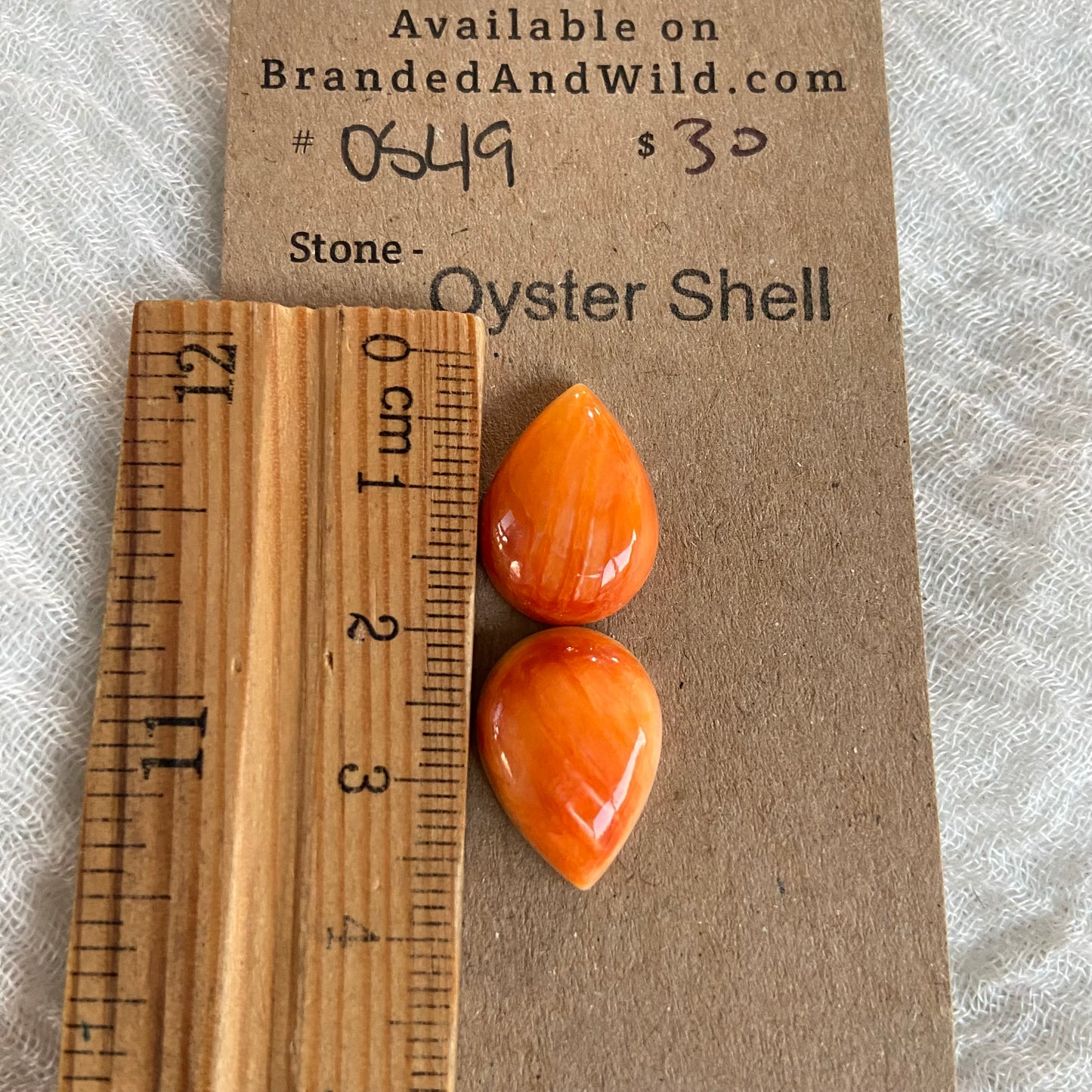 Oyster Shell Cabochon - OS49