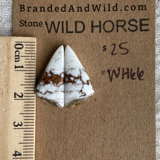 Wild Horse Cabochon - WH66