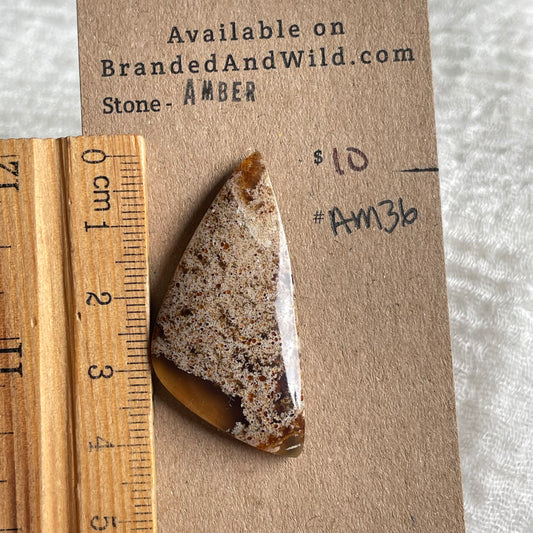 Amber Cabochon AM36 41843105-C7E5-4CD3-9A0D-FD6E559FC555 Brandedandwild.com