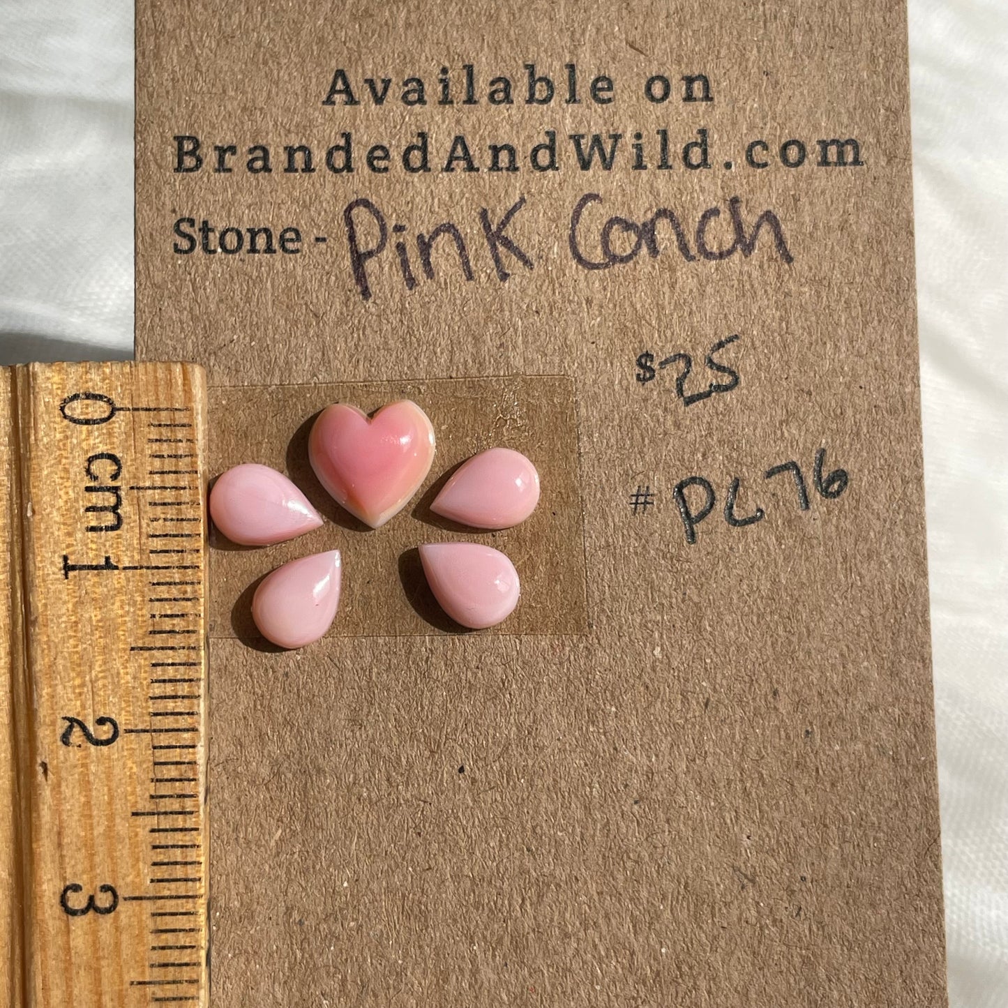 Pink Conch Cabochon - PC76 41862983-5EF4-4B4F-A31D-40A0055A5E55 Brandedandwild.com