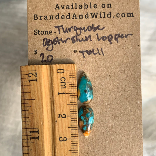 Turquoise, Oystershell, Copper Cabochon - TOC11
