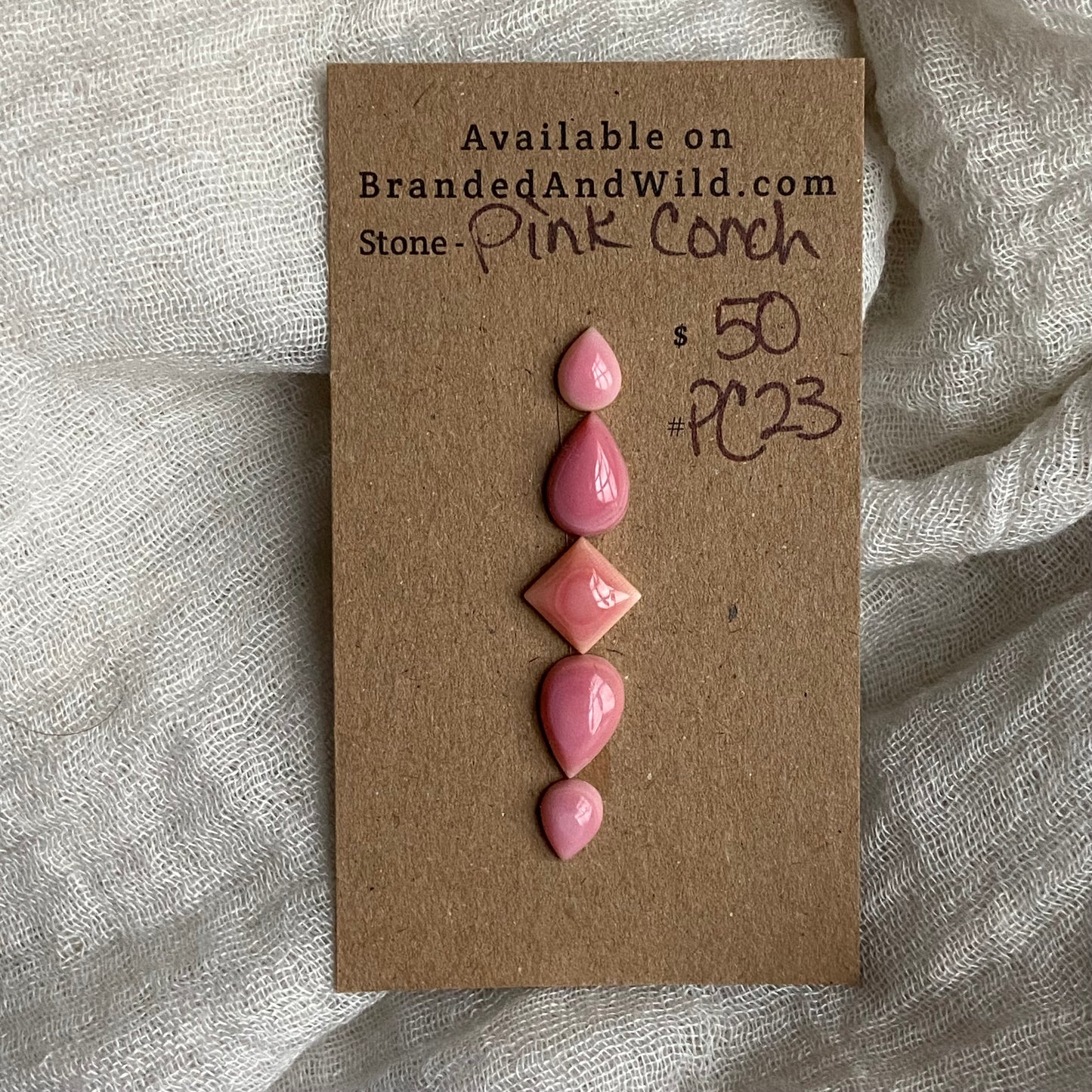 Pink Conch Cabochon - PC23