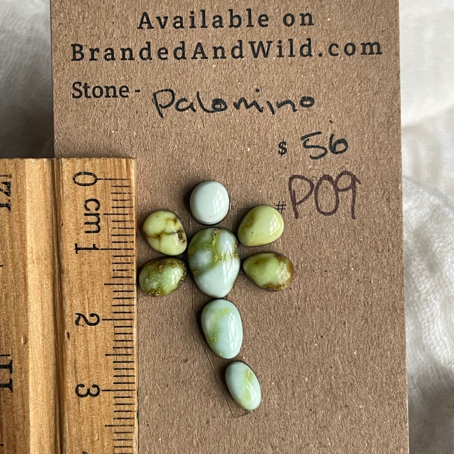 Palomino Cabochon - P09 423574E7-84ED-4F3E-A846-7A41C22B5826 Brandedandwild.com