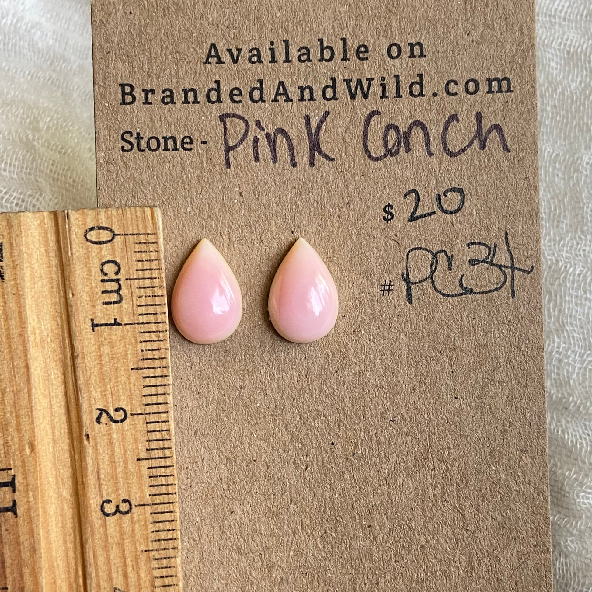 Pink Conch Cabochon - PC34 42581763-3C9D-4986-BECC-7EE45B662EDC Brandedandwild.com