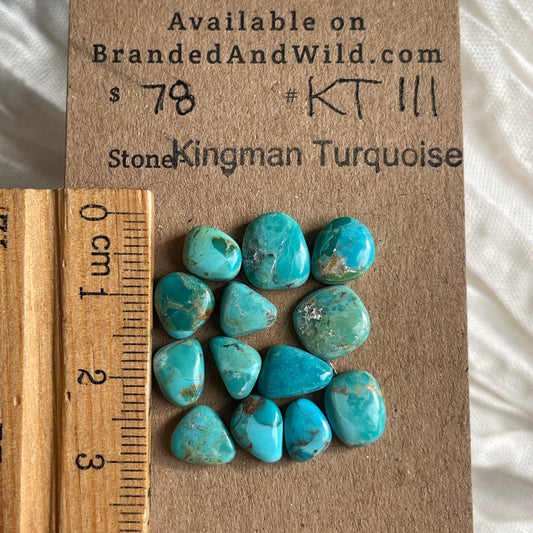 Kingman Turquoise Cabochon - KT111 426B8649-03FB-4758-A403-FA5FEDF39A37 Brandedandwild.com