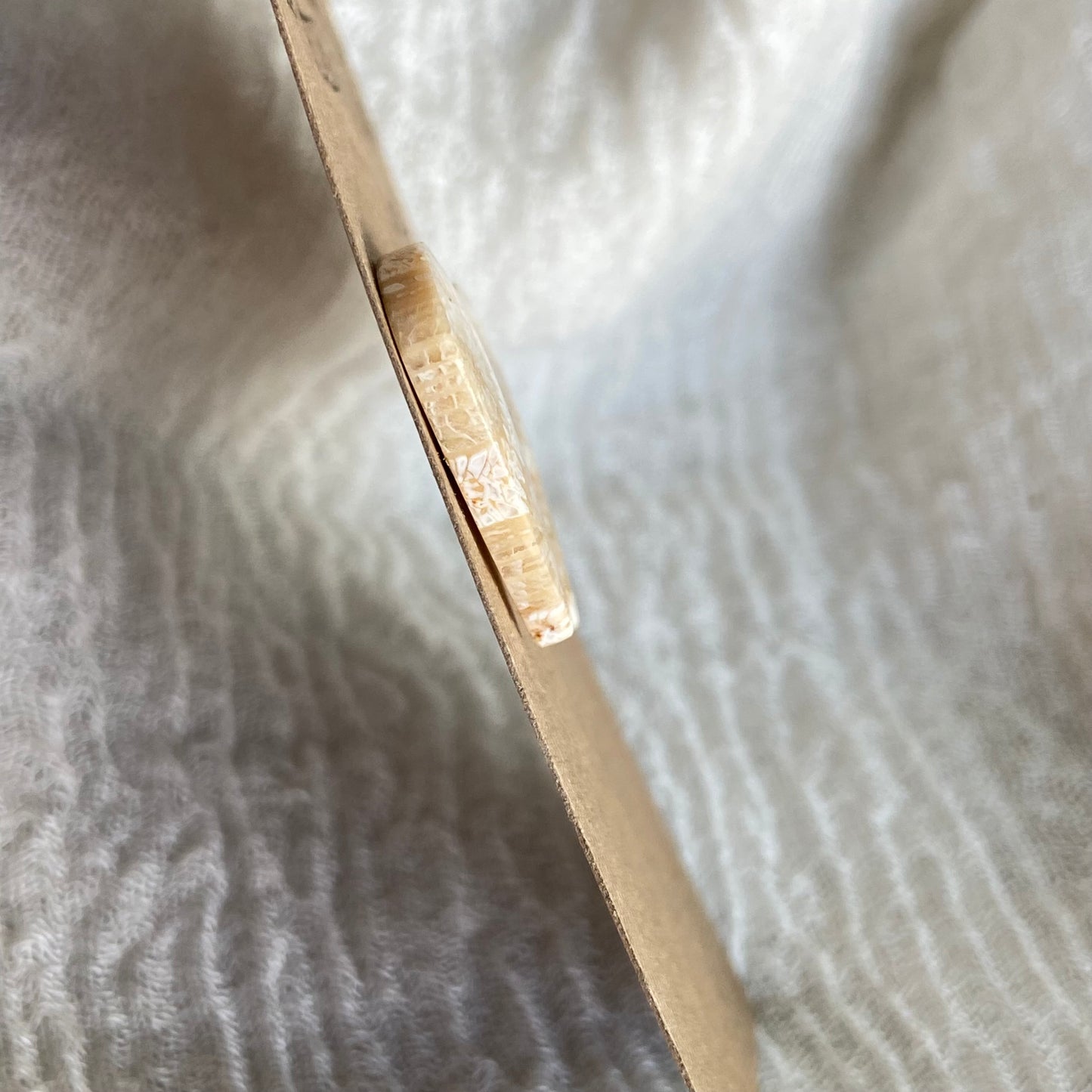 Fossil Coral Cabochon - FC64
