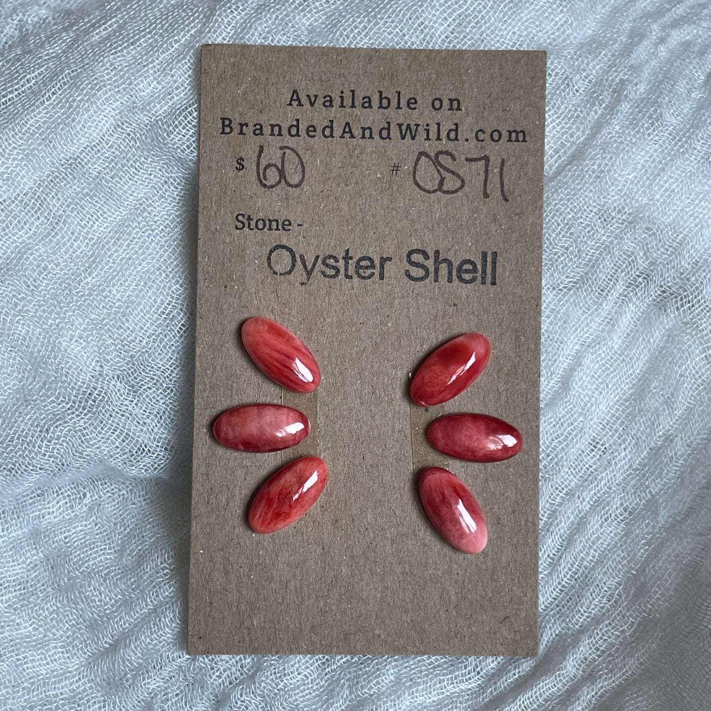 Oyster Shell Cabochon - OS71