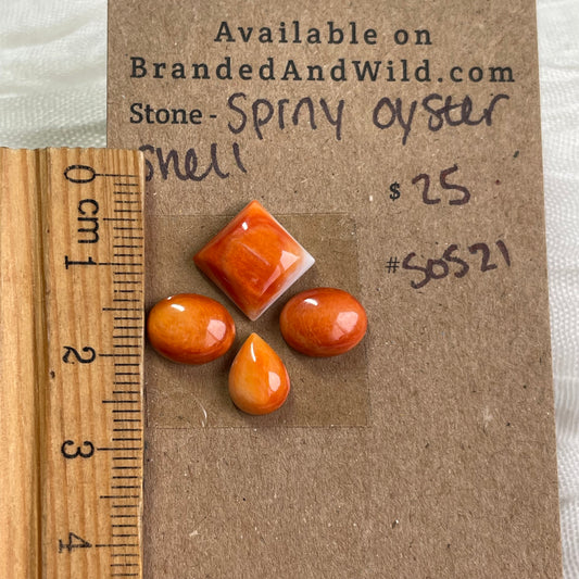 Oyster Shell Cabochon - S0S21 42A3B07E-AD34-44D9-AE88-9370D373BCF3 Brandedandwild.com