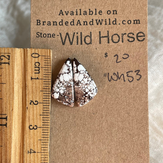 Wild Horse Cabochon - WH53