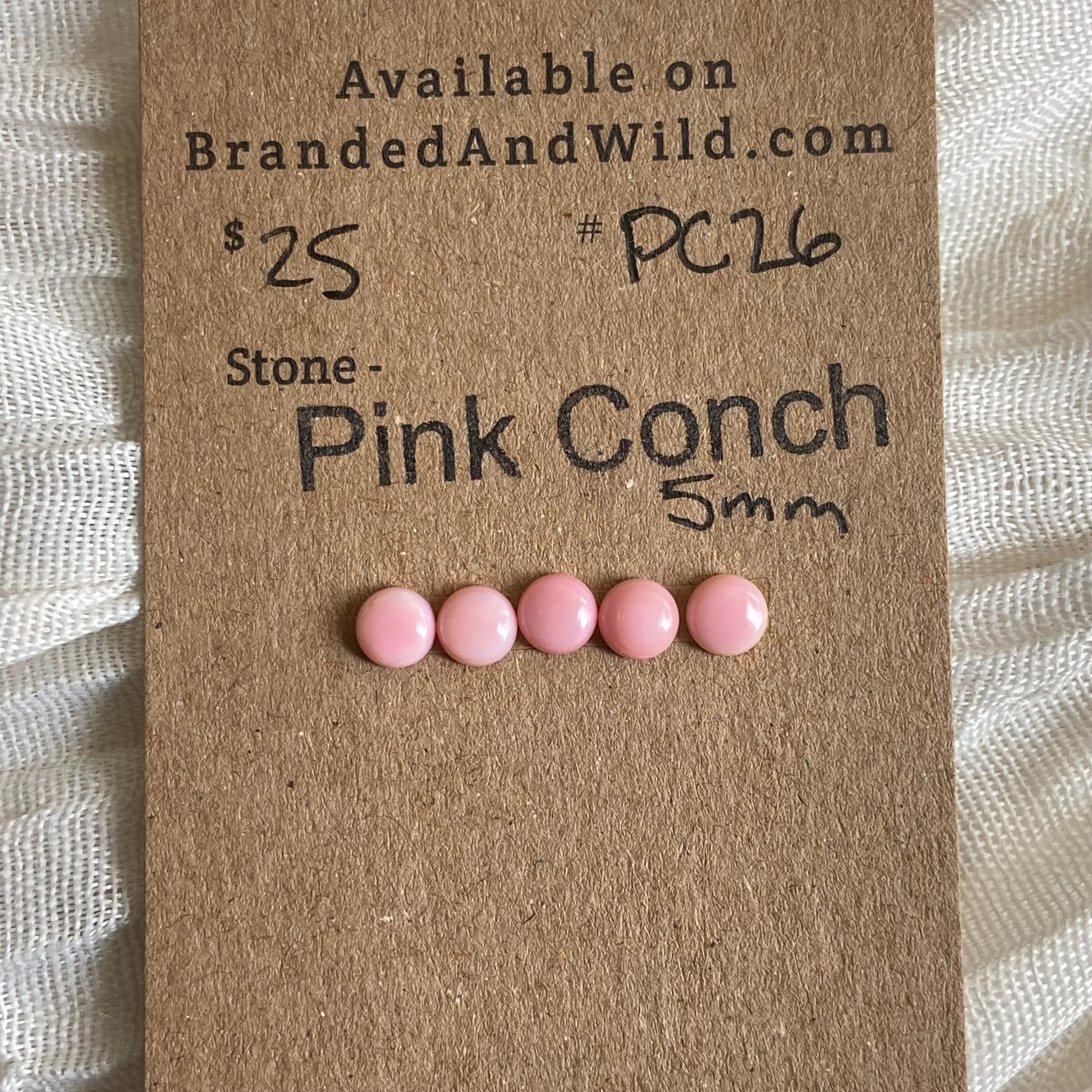 Pink Conch Cabochon - PC26 42DA9BBB-29F3-45A9-AA62-3C8FAF5B4ABB Brandedandwild.com