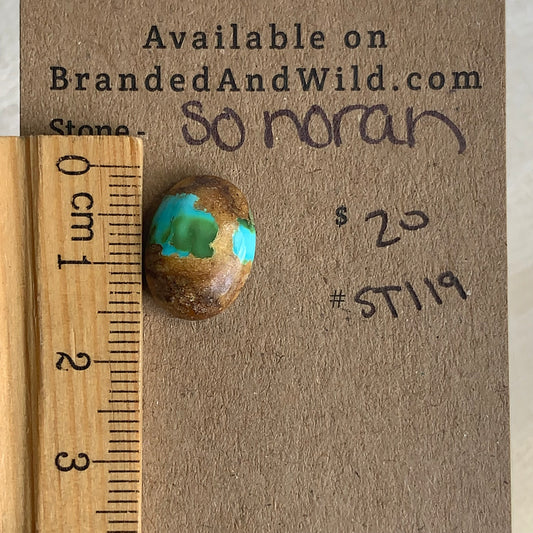 Sonoran Turquoise Cabochon - ST119
