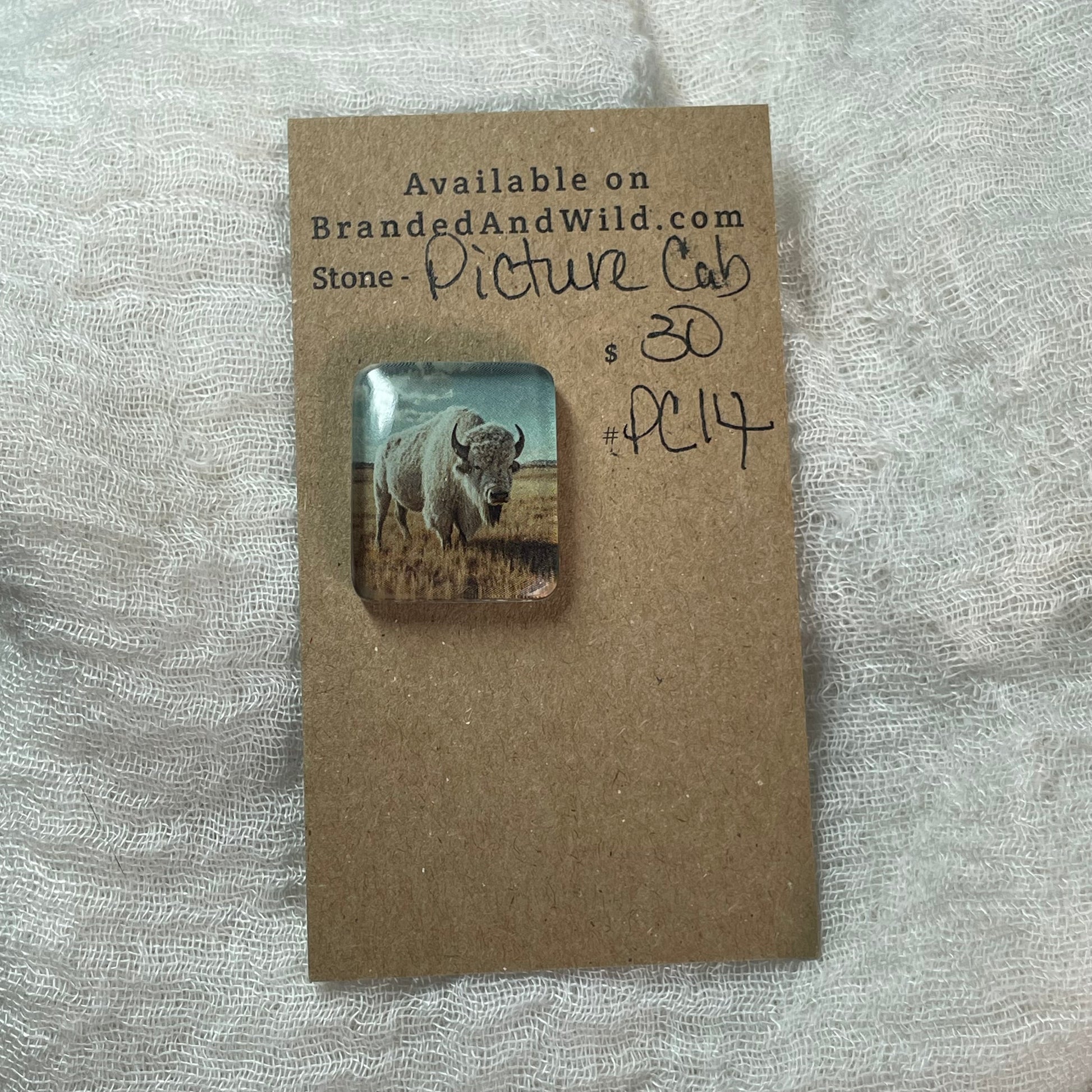 Picture Cabochon - Cabochon - PC14 431B1AEF-972B-4C52-9BA1-DDD5696BFDA8 Brandedandwild.com